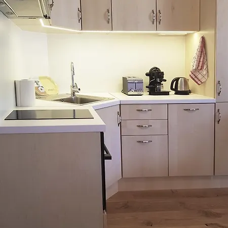 Apartment Fuchs By Schladmingurlaub *
